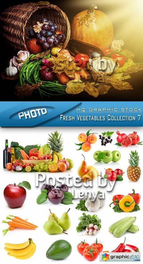 Stock Photo - Fresh Vegetables Collection 7