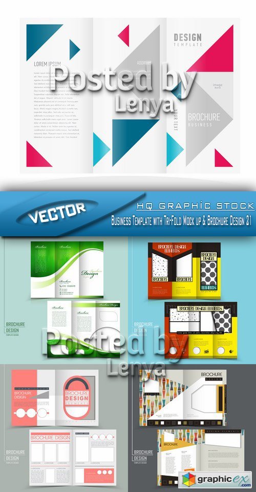 Stock Vector - Business Template with Tri-Fold Mock up & Brochure Design 21
