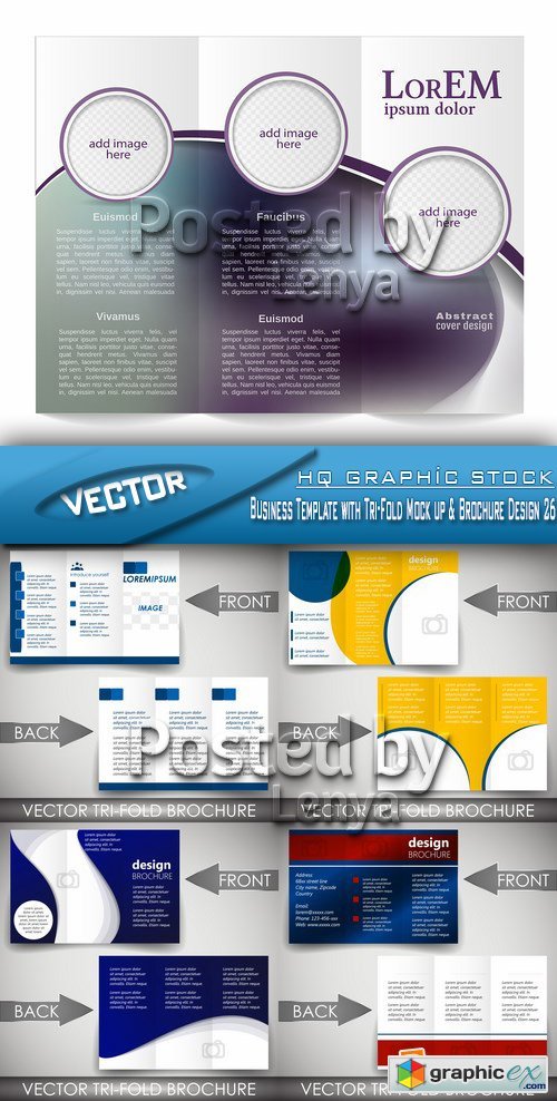 Stock Vector - Business Template with Tri-Fold Mock up & Brochure Design 26