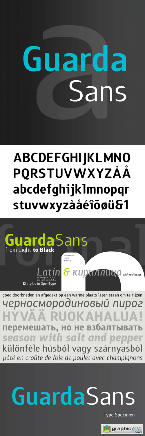 Guarda Sans Font Family - 12 Fonts for $222