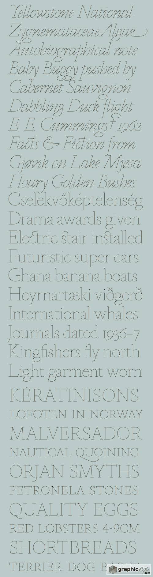 Marian Font Family - 18 Fonts for $600
