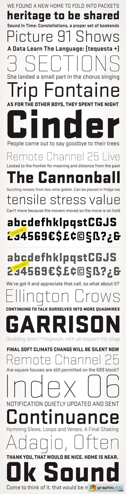Stratum 1 & 2 Fonts Family - 12 Fonts for $179