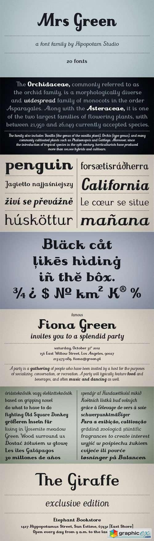 Mrs Green Font Family - 20 Fonts for $240