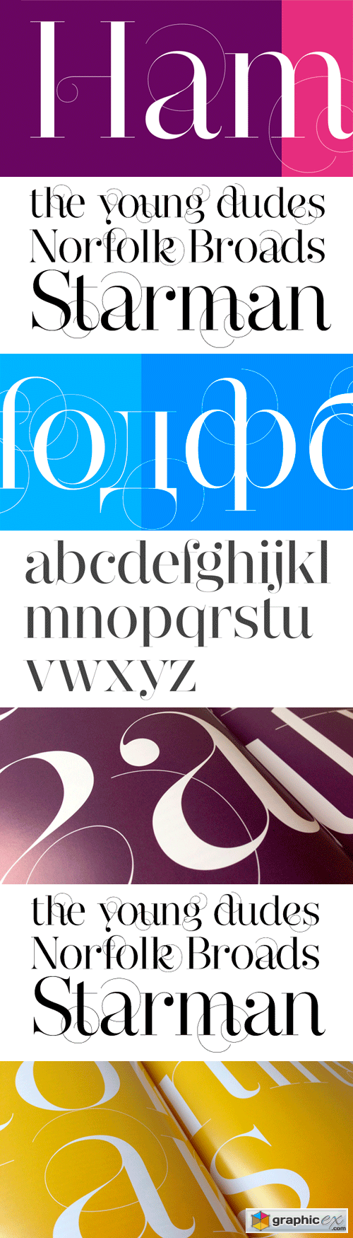 Narziss Pro Cyrillic Font Family - 21 Fonts for $1258