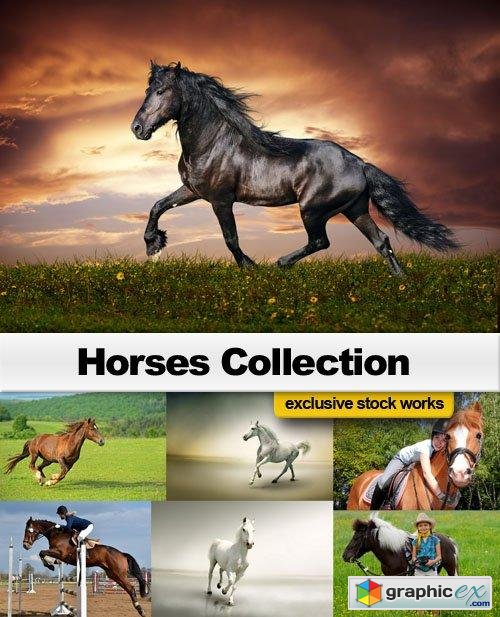 Horses Collection - 25 JPEG