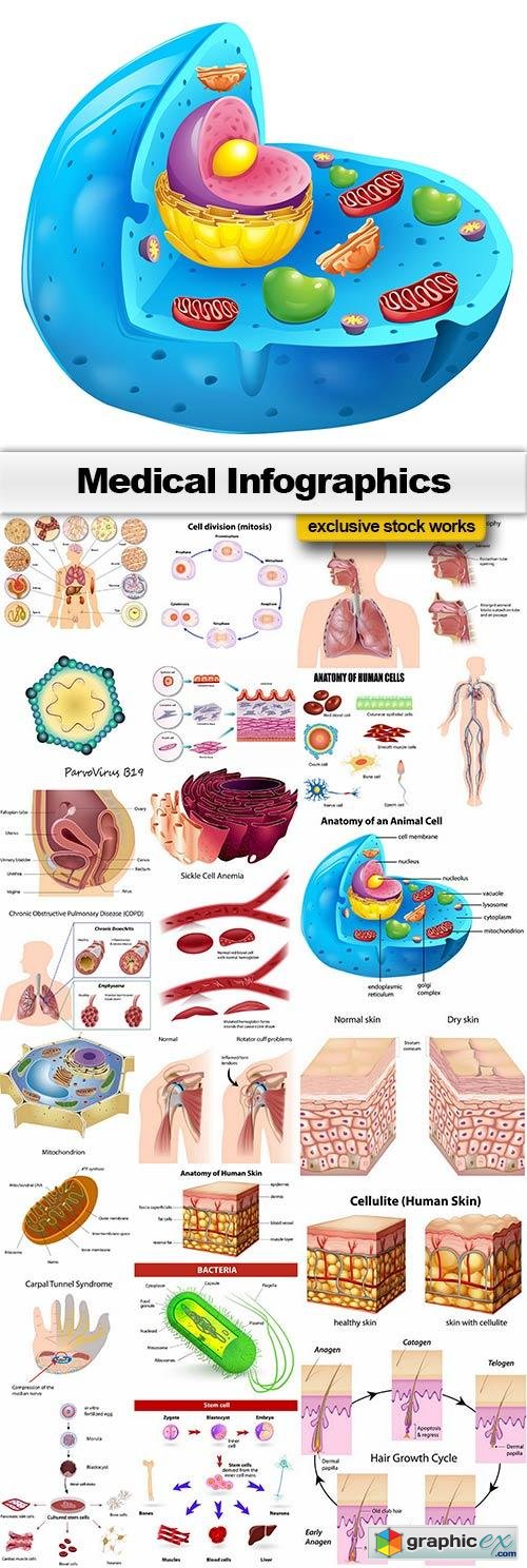 Medical Infographics - 25x EPS
