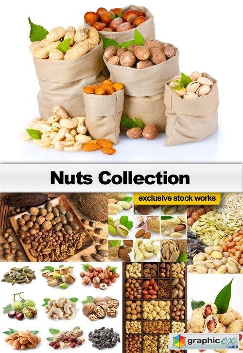 Nuts Collection - 25 JPEG