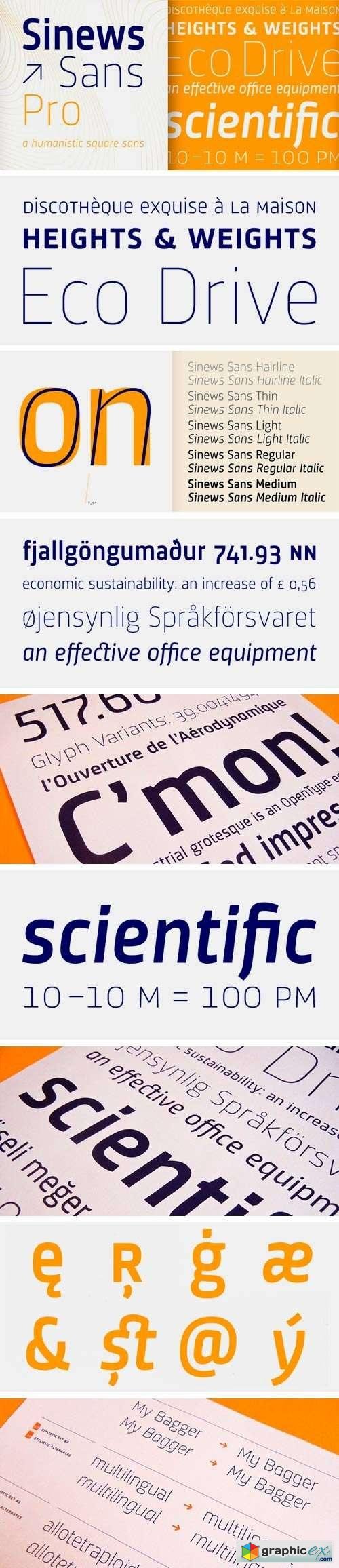 Sinews Sans Pro Font Family - 10 Fonts for �480