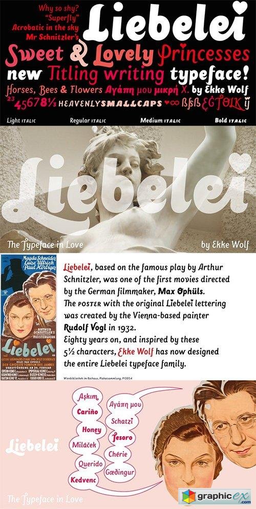 Liebelei Pro Italic Font Family - 4 Font $156