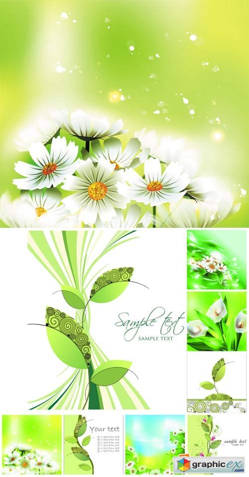 Vector natural backgrounds, flowers