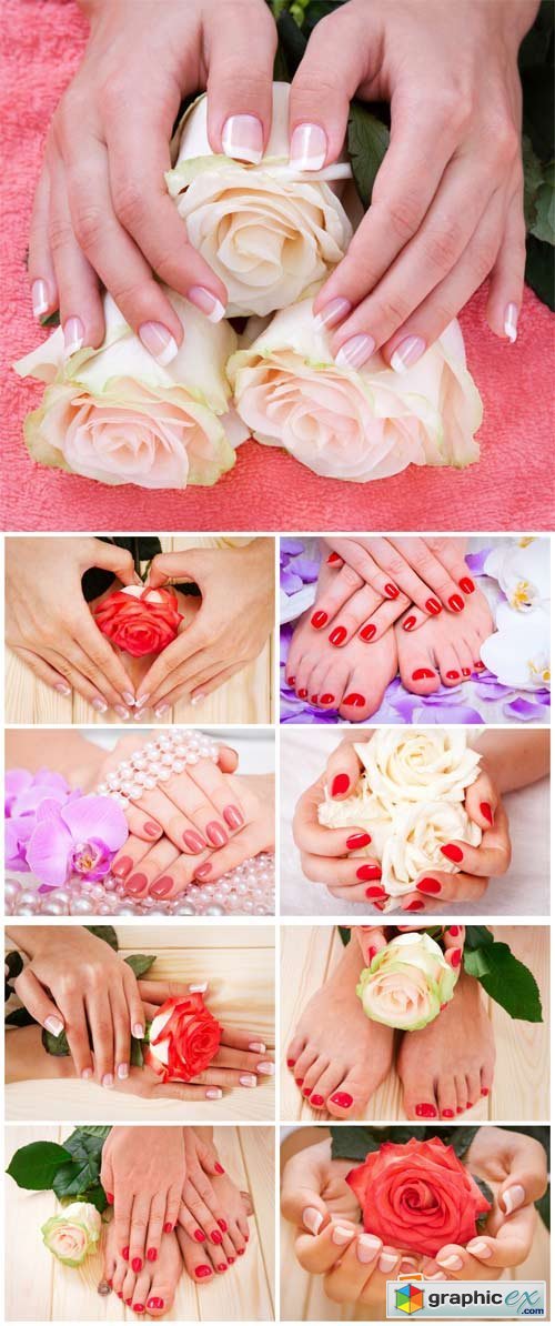 Manicures and pedicures, beautiful roses, feminine hands - Stock Photo