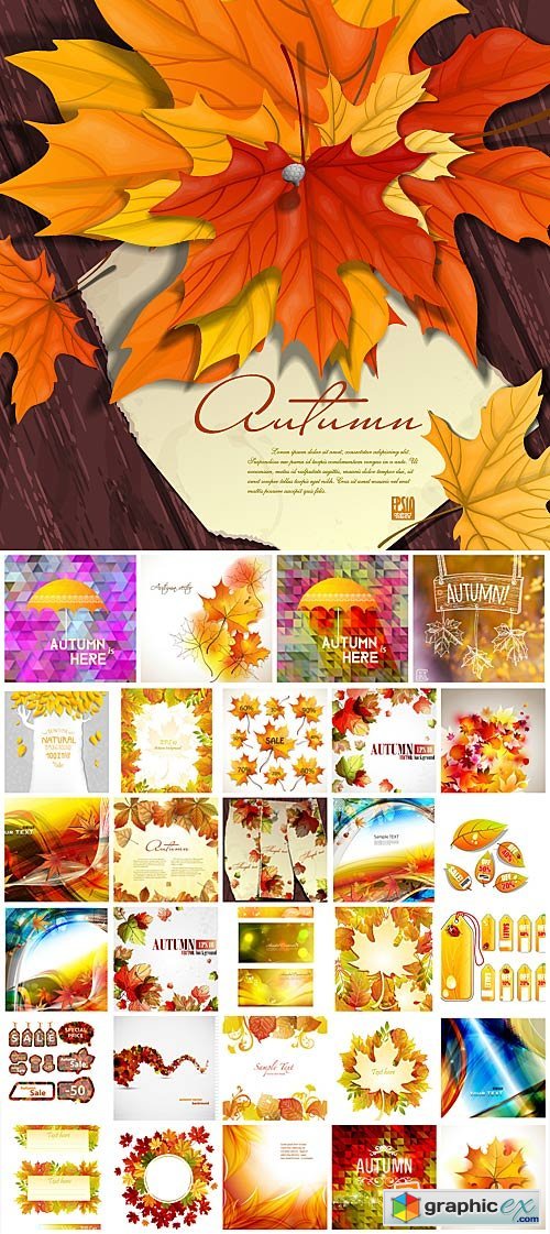 Autumn vector collection, backgrounds