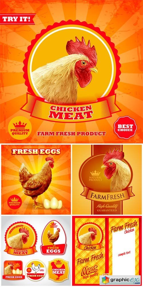 Vector labels and backgrounds with chicken