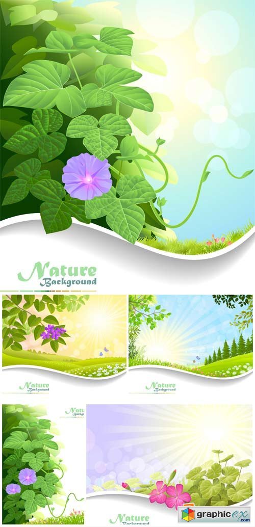 Natural backgrounds, vector backgrounds with flowers