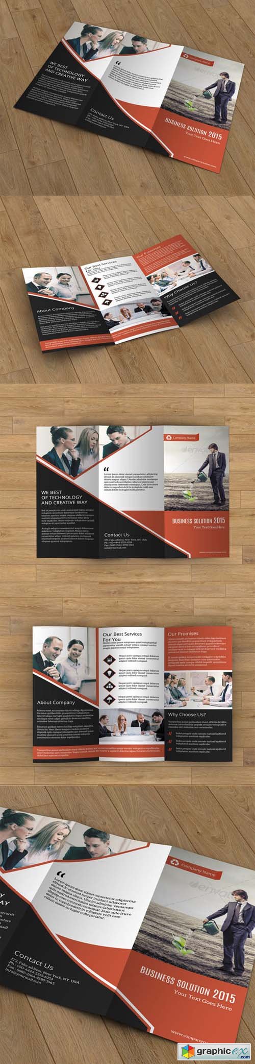 Business Brochure trifold