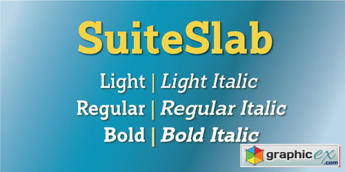 Suite Slab Font Family $230