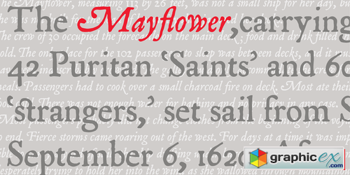 P22 Mayflower Font Family $150