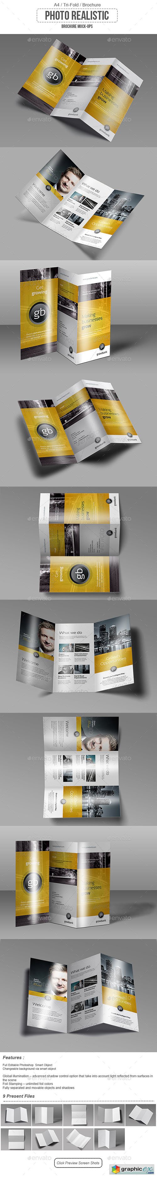  Tri Fold / Brochure / Mock-Up