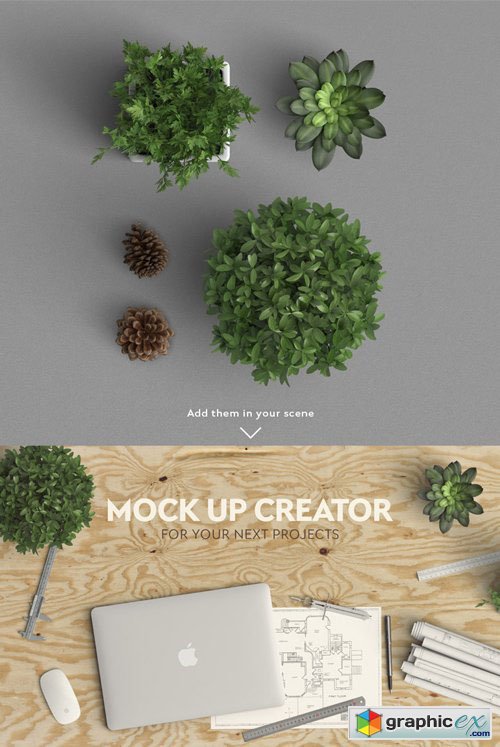 Plant Mock-up - Architect