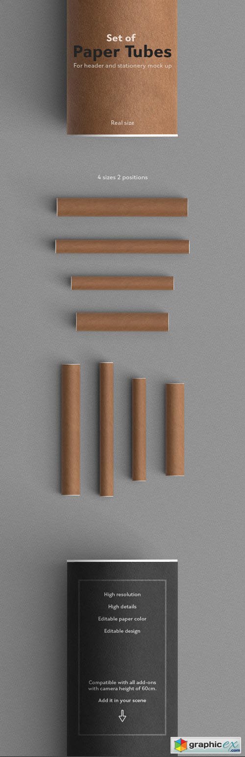 Set Of Paper Tubes Mock-up
