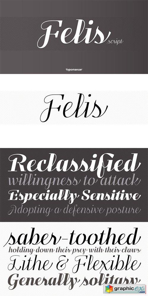 Felis Script Font Family - 5 Font $13