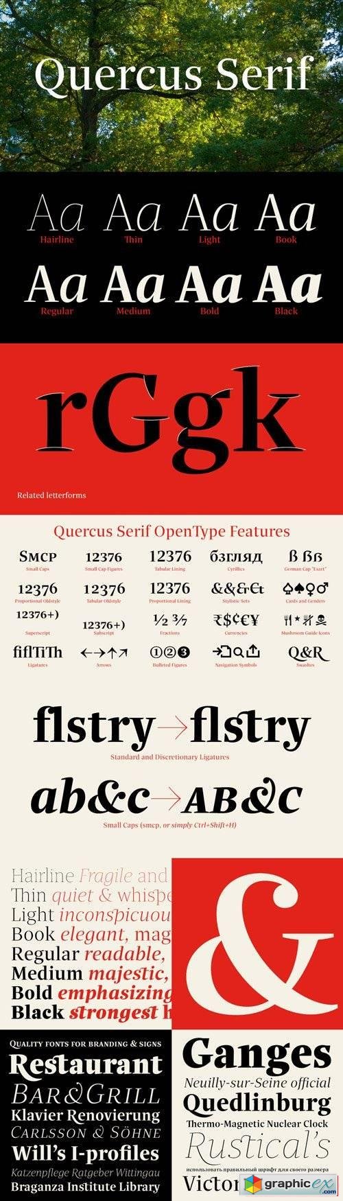 Quercus Serif Font Family $349