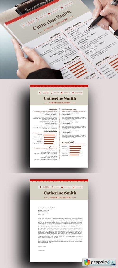 Charted modern resume template