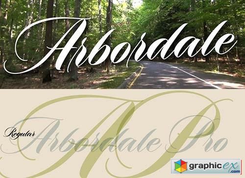 Arbordale Font Family - 2 Fonts 58$