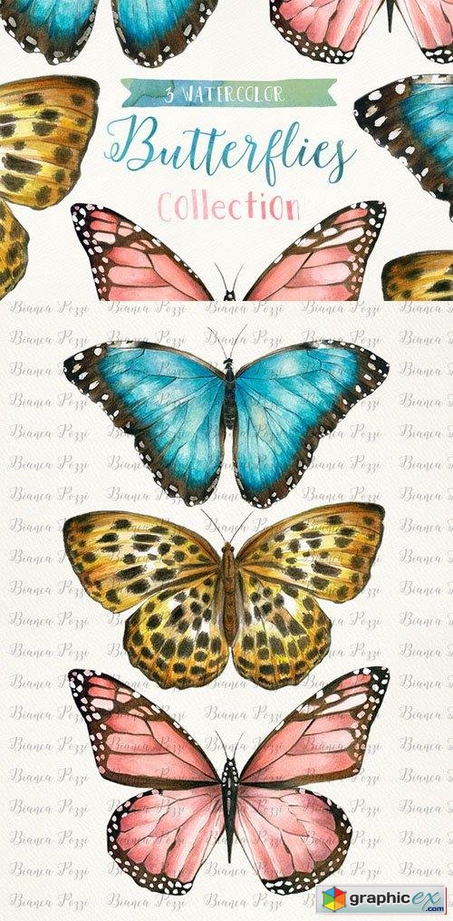 3 Watercolor Butterflies