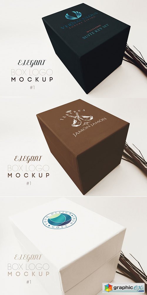  Elegant Box Logo Mockup