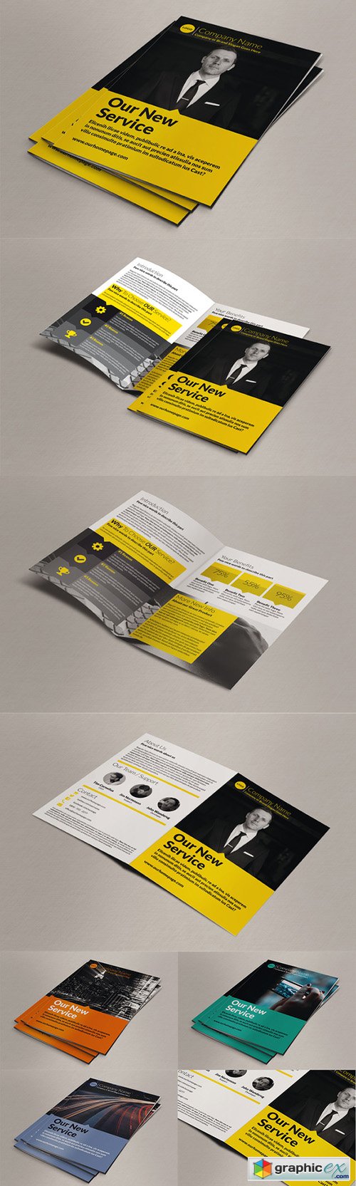 Business Bi-Fold Brochure 254895