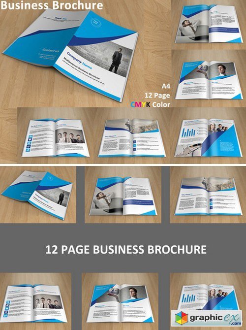 InDesign Business brochure - 12 page