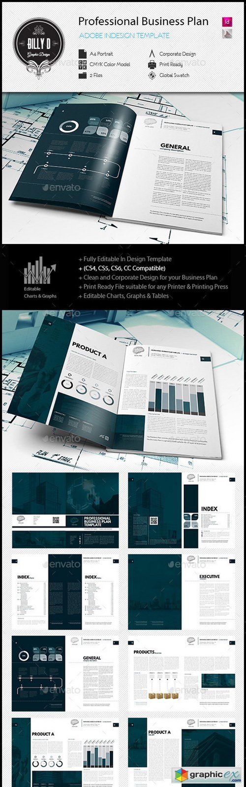 Professional Business Plan Template