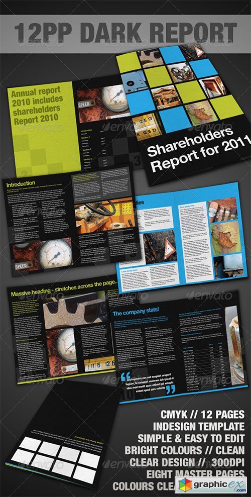 12pp Dark Report / Brochure - InDesign