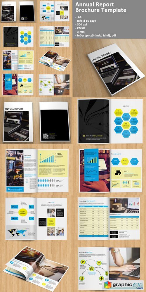 InDesign: Annual Report/Brochure