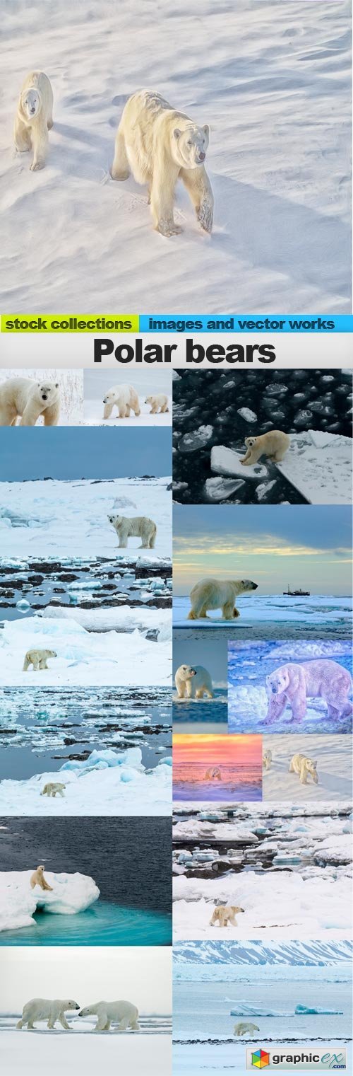 Polar bears,15 x UHQ JPEG