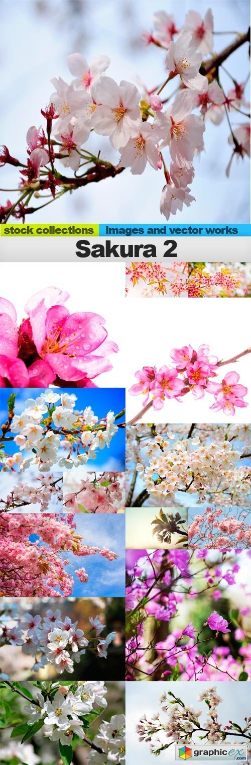 Sakura 2, 15 x UHQ JPEG
