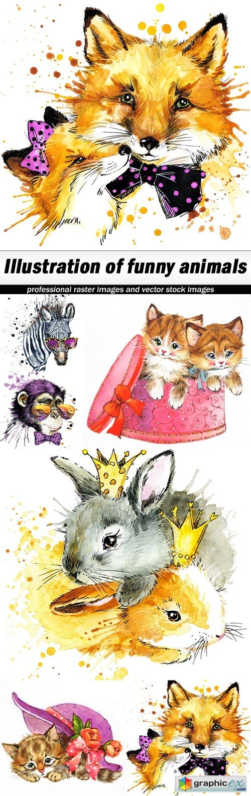 Illustration of funny animals