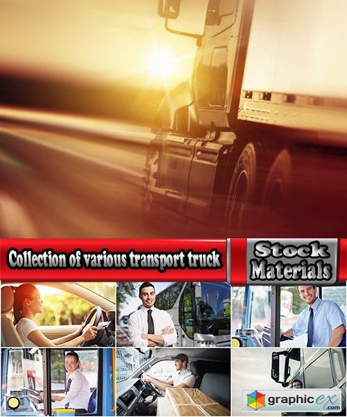 Collection of various transport truck driver of a car 25 HQ Jpeg