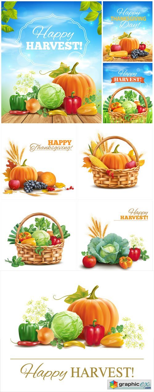 Time of harvest, vegetables vector