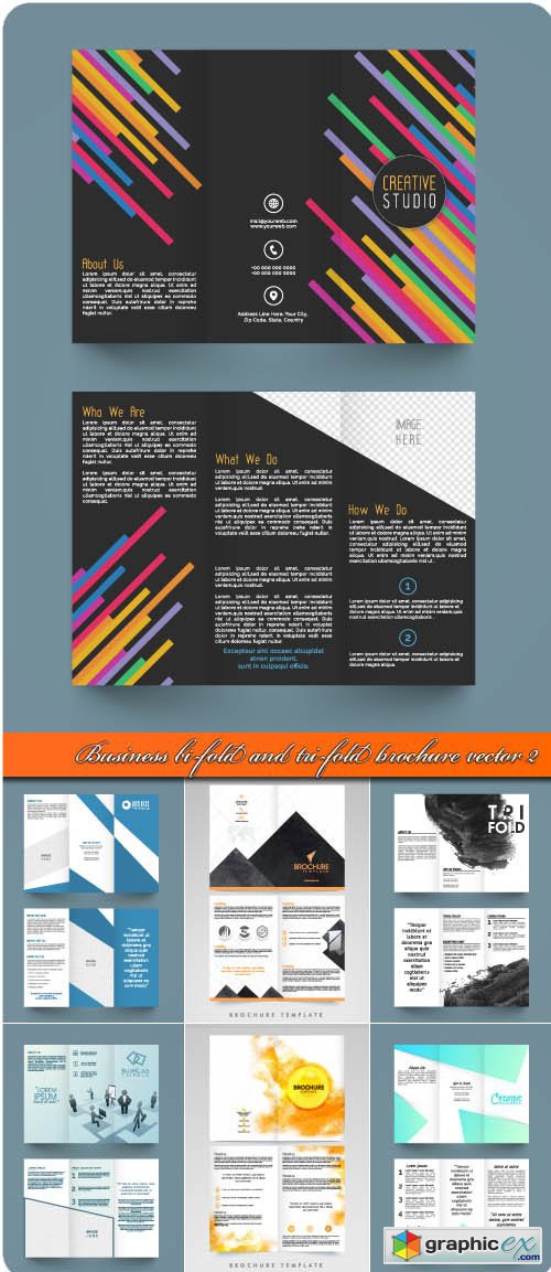 Business bi-fold and tri-fold brochure vector 2
