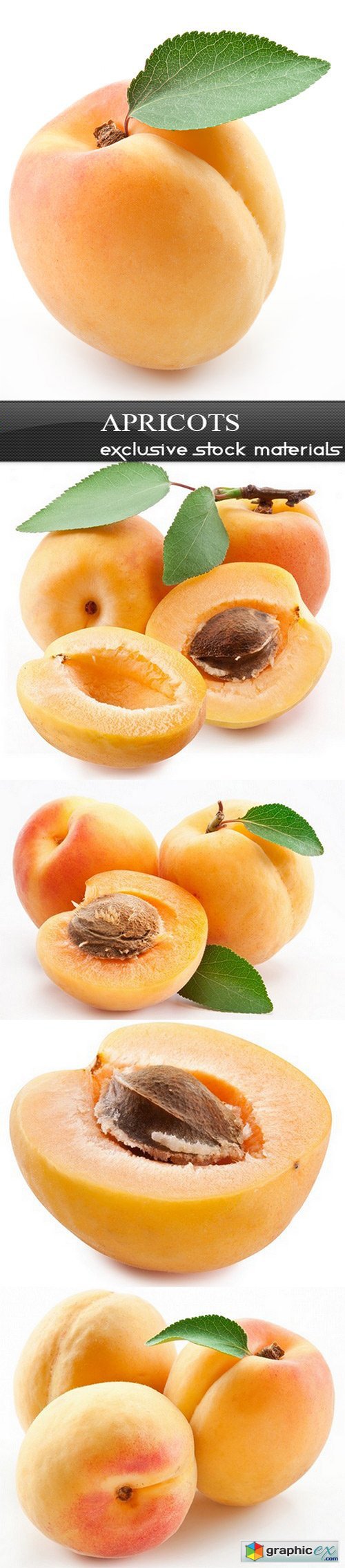 Apricots - 5 UHQ JPEG