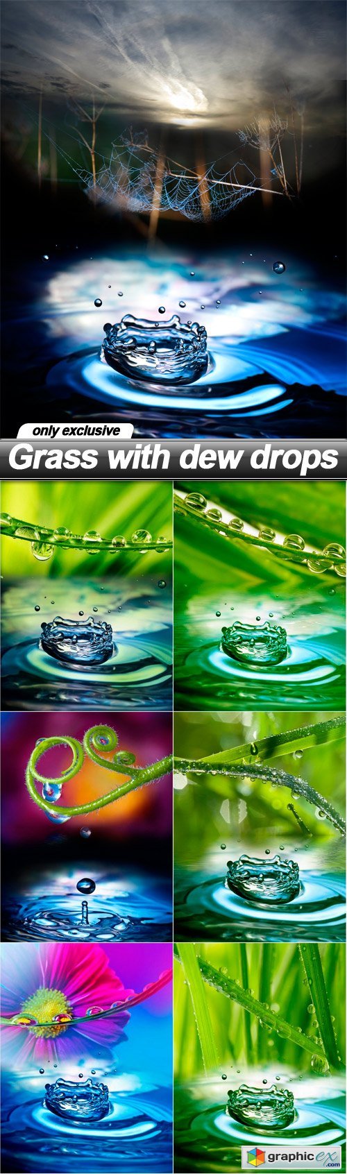 Grass with dew drops - 7 UHQ JPEG