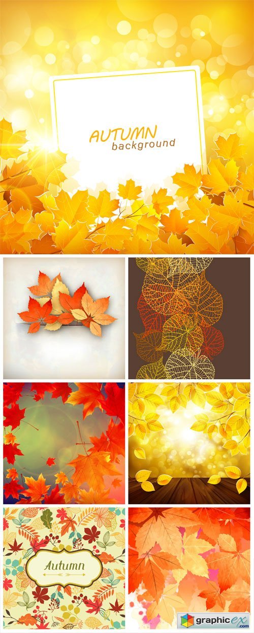 Vector autumn background with colored leaves