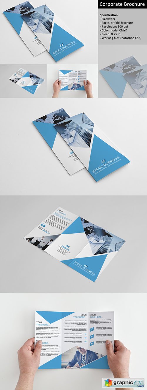 Trifold Corporate Brochure 351604