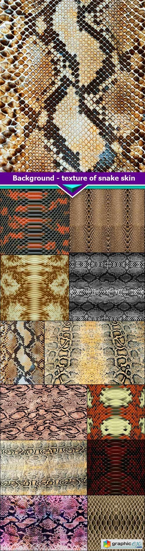 Background - texture of snake skin 12X JPEG