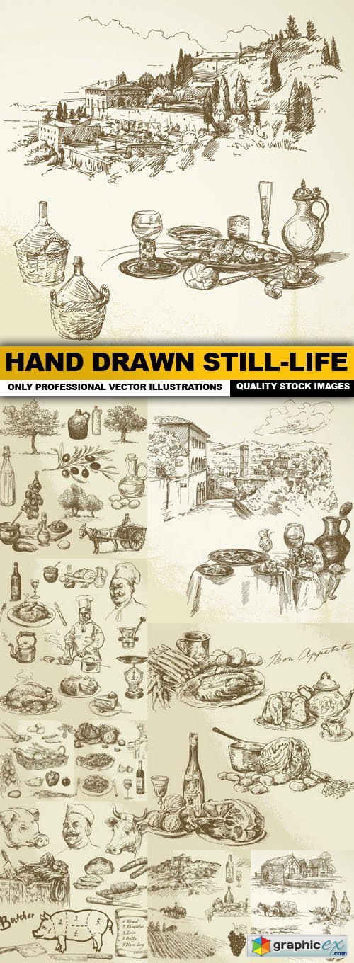 Hand Drawn Still-Life - 10 Vector