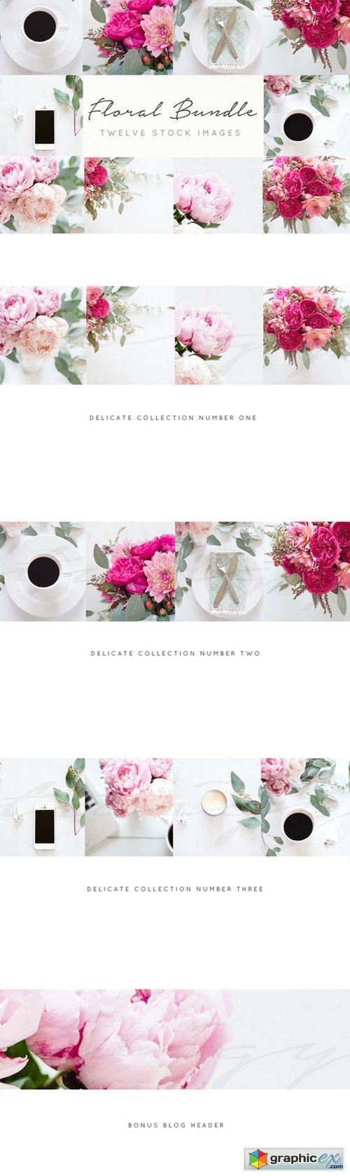 Floral Stock Images+FREE blog header