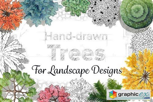 Hand-Drawn Trees