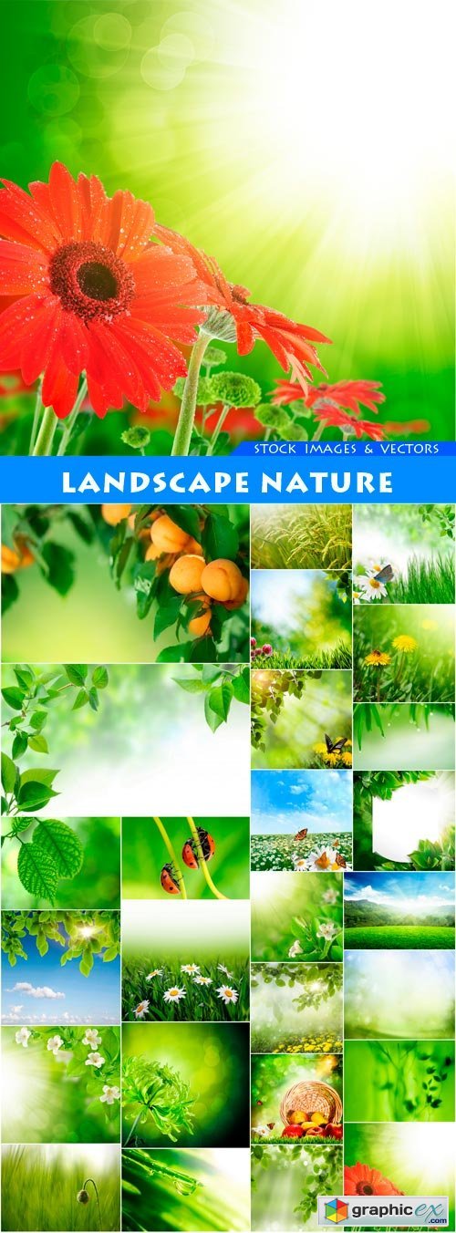 Landscape nature 26X JPEG